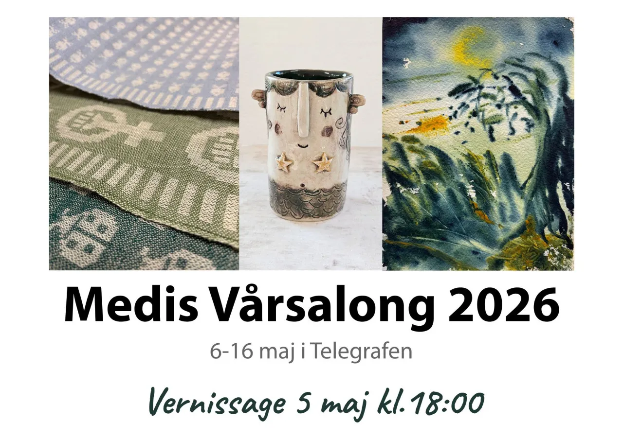 Medis Vårsalong 2026 hemsida