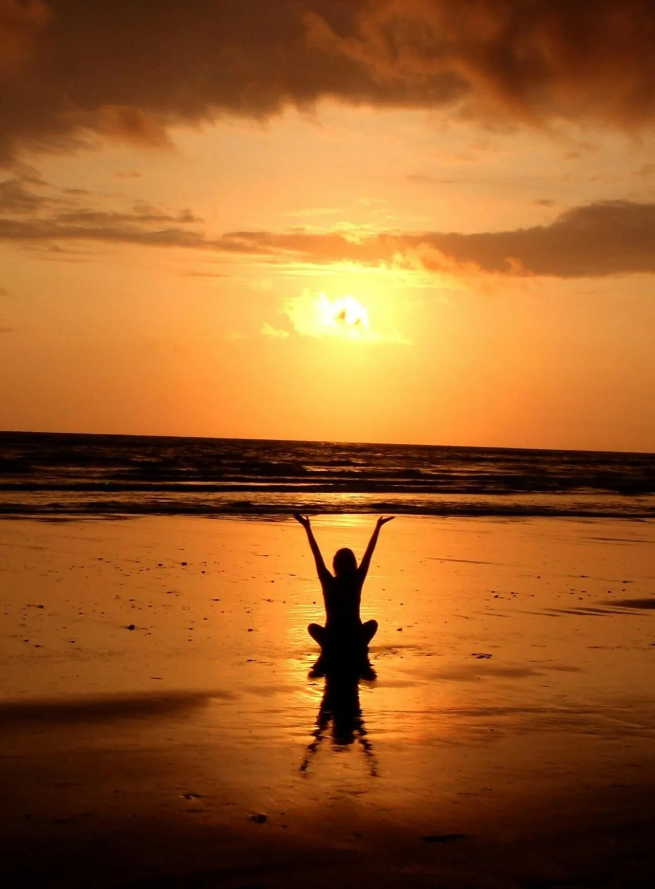 pexels pixabay 268134 1