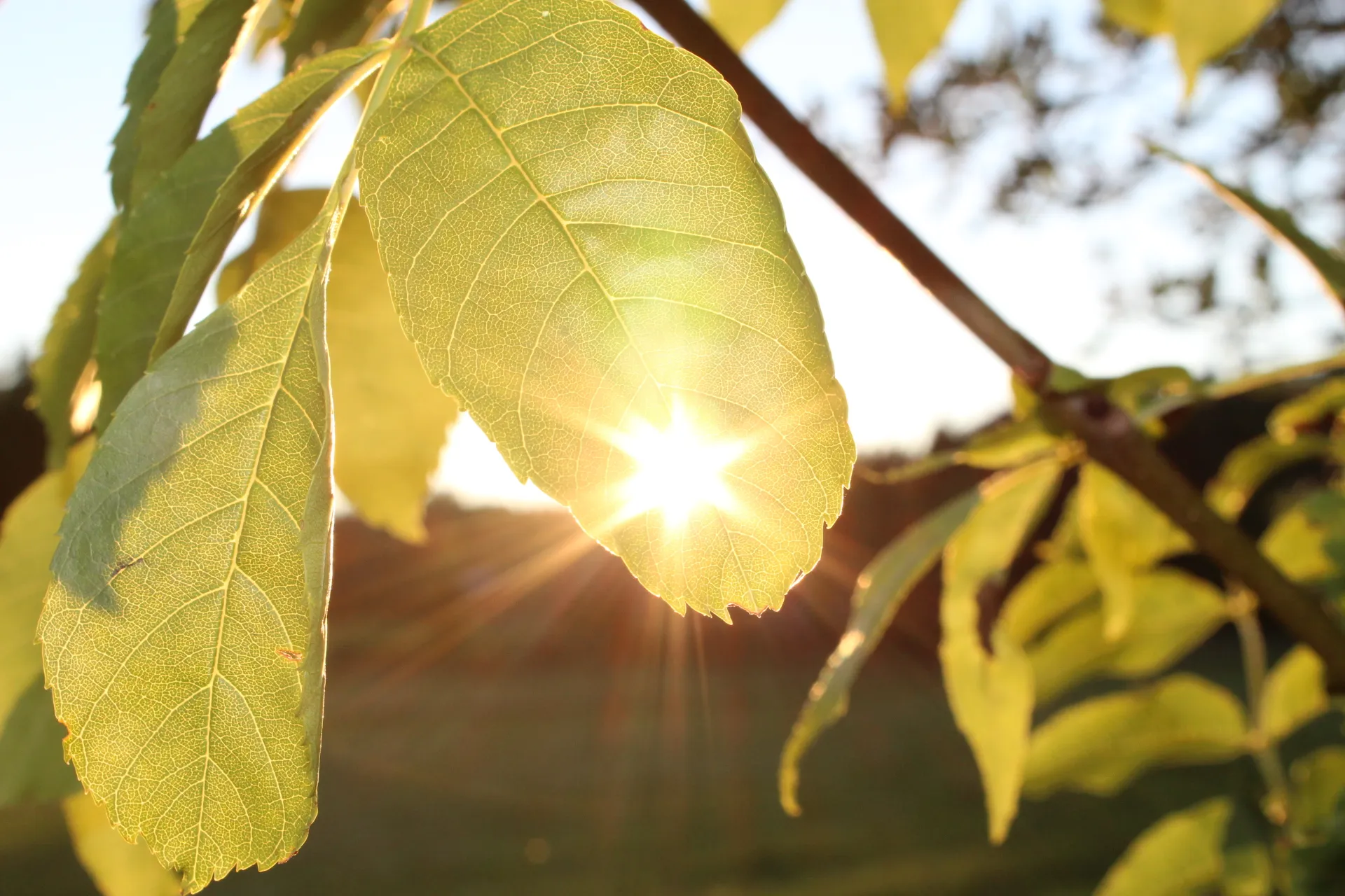 20170722213646 IMG 0106